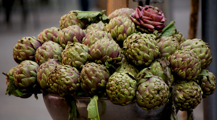 Carciofi romaneschi