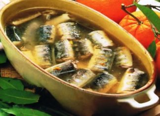 Natura umida del pesce