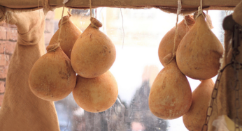 Caciocavallo dei Monti Alburni, tra doline carsiche e grotte di giganti