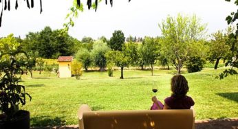 Dolcetto di una notte di mezza estate