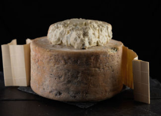 Studia la Storia, mangia il Gorgonzola! caratteristica crosta del Gorgonzola