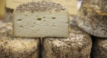 Conciato di San Vittore: 15 Erbe aromatiche e un'antica via di transumanza