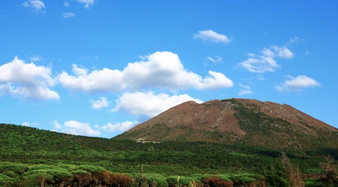vigneto campi flegrei