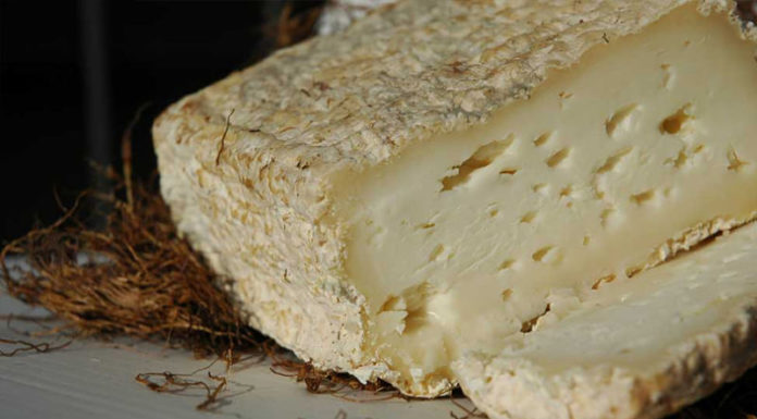 La pasta morbida e avvolgente del Caciofiore della Campagna Romana