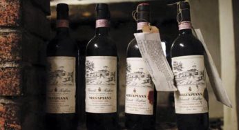 Riserva Bucerchiale. 40 anni in verticale.