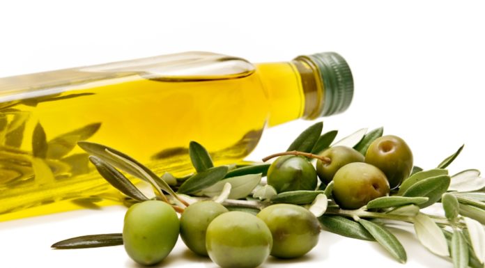 abbinamenti olio cibo