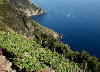 Parco Nazionale Cinque Terre