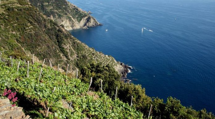 Parco Nazionale Cinque Terre