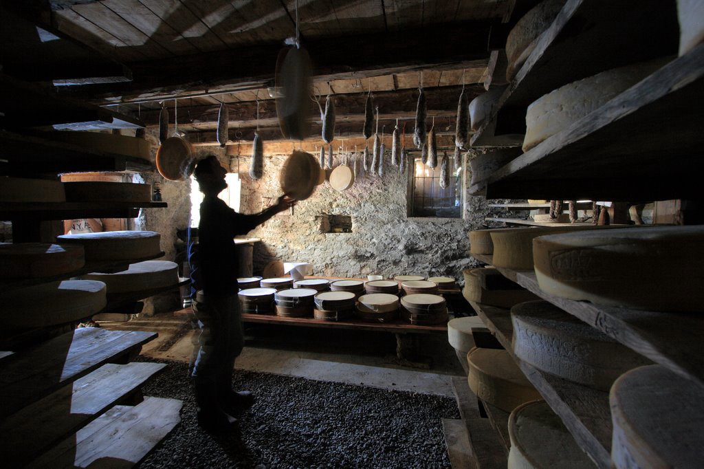 Bitto Storico. Il ribelle dei formaggi