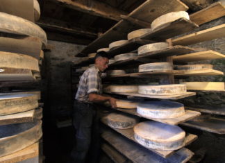 Consorzio Bitto Storico