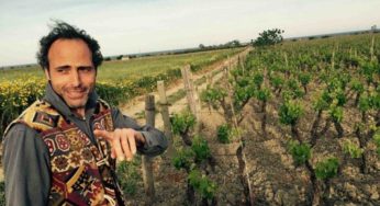Vini di Calabria: gli apocrifi di Sergio Arcuri e Casa Comerci.