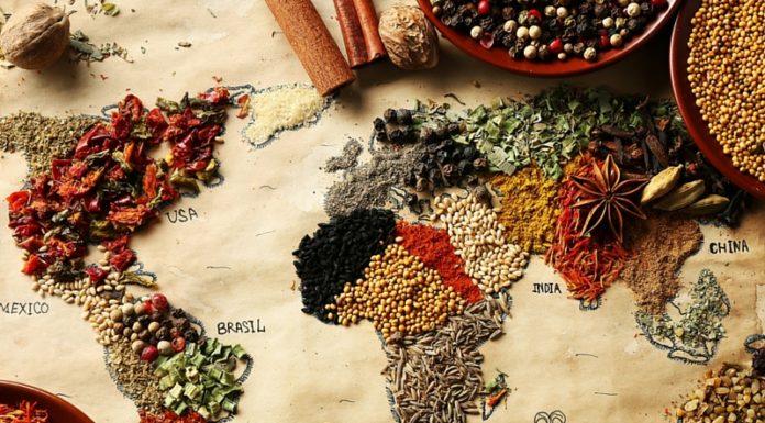 Semi antichi. 10 domande sul brevetto della vita altri mondi news