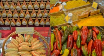 Terra Madre Salone del Gusto. Quello che non ho.