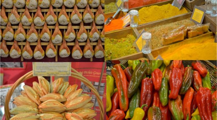 terra-madre-salone-del-gusto-edizione-2016-presentata-a-milano-730x430