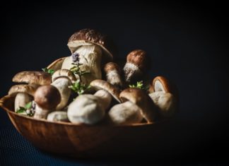 vino e funghi
