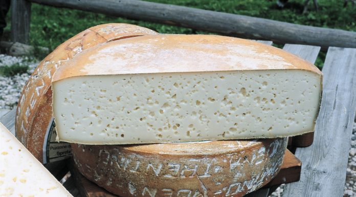 Puzzone di Moena di Malga