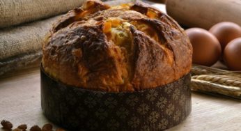 Panettone artigianale d'eccellenza: Tuscia il dolce che non t'aspetti!