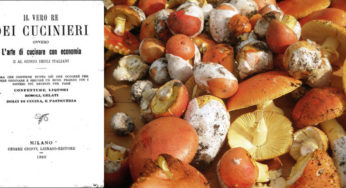 Antiche ricette Italiane: una scoperta inattesa!