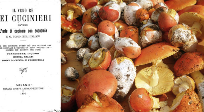 Il vero re dei cucinieri libro