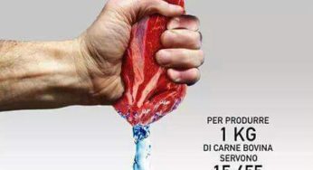Vegan per rispettare me stesso, prima degli animali.