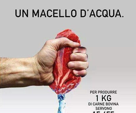 Vegan per rispettare me stesso, prima degli animali. Vegan per rispettare me stesso, prima degli animali