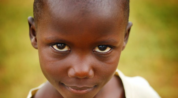 Fare beneficenza mangiando il tofu Fare beneficenza mangiando il tofu