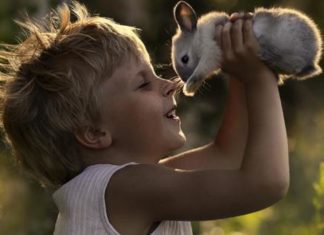 BAMBINI-ANIMALI