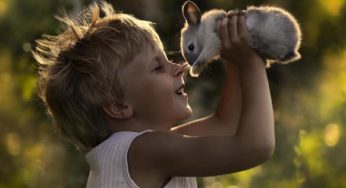 Sono vegano. Ma non odio chi mangia gli animali
