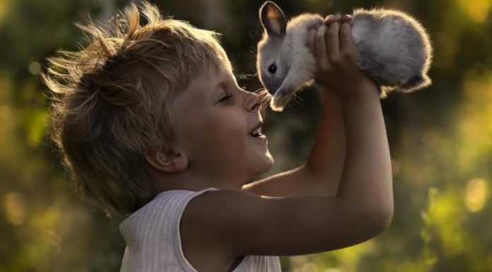 Sono vegano. Ma non odio chi mangia gli animali BAMBINI-ANIMALI