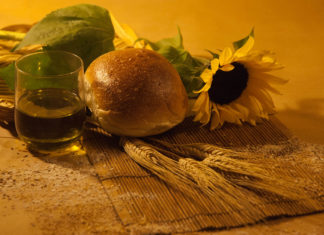 Panini all'Olio: Due ricette a confronto Panini all'Olio