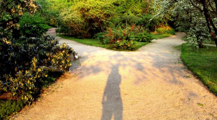 Da domani inizio a mangiare meglio e fare palestra... ma non lo faccio!