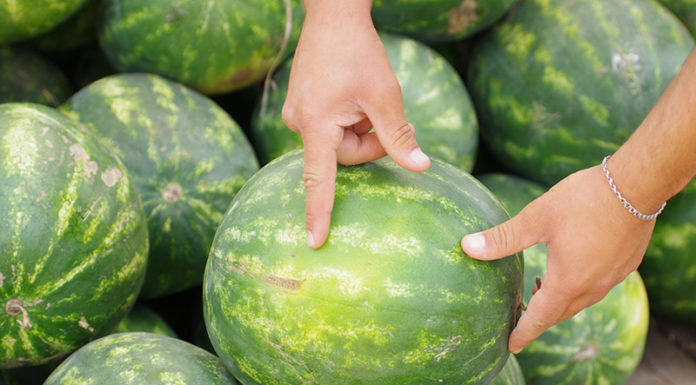 Come scegliere un cocomero