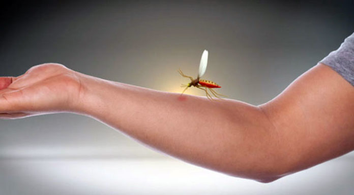 Allevia il prurito ed i rossori con i rimedi naturali