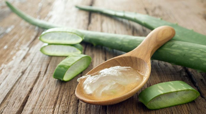 aloe vera