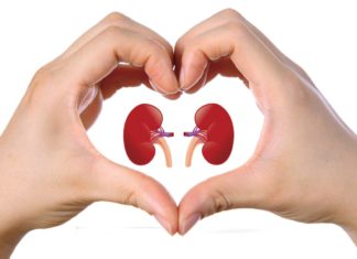 Depuriamo il nostro corpo: i reni