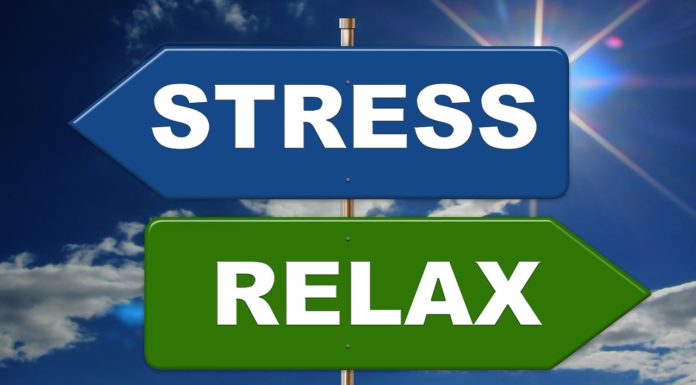 Cibo antistress: i migliori alimenti per rilassarti naturalmente