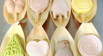 Il gelato che non si scioglie è realtà… in Giappone!