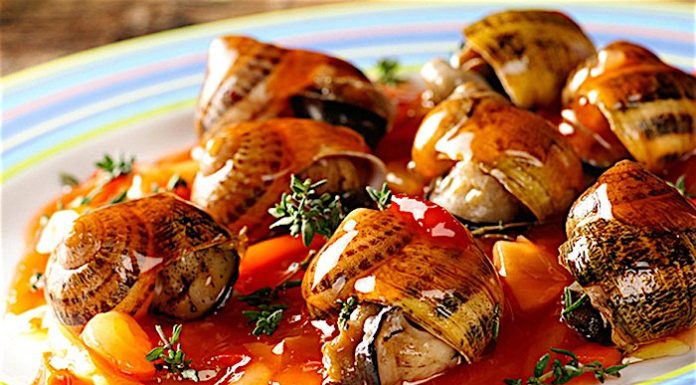 Sagra della Lumaca 1-2-3 settembre lumache alla romana