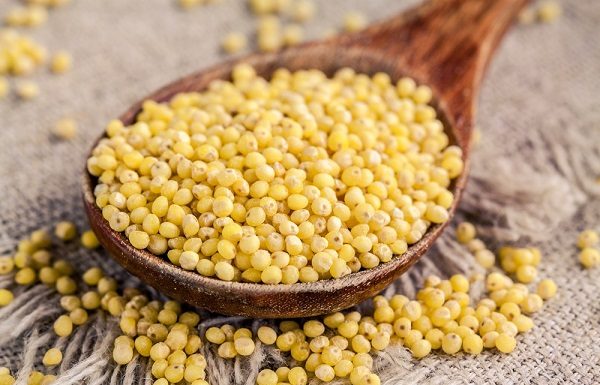 Come cucinare il miglio: 3 ricette facili e veloci miglio