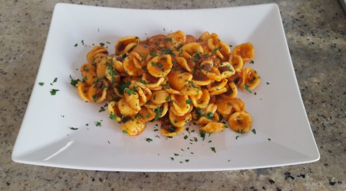Orecchiette al polpo
