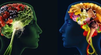 Poco intelligente? Forse mangi male. Scopri le correlazioni tra cibo e intelligenza.