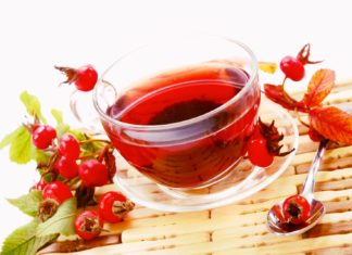Rosa canina un toccasana per il sistema immunitario. Scopri tutte le proprietà