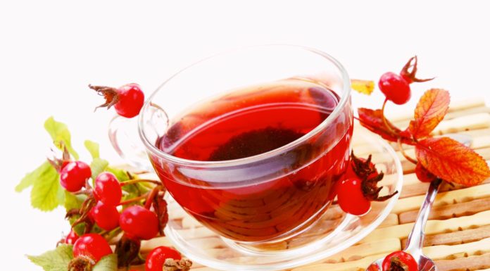 Rosa canina un toccasana per il sistema immunitario. Scopri tutte le proprietà