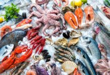 Identikit del pesce fresco: ecco 5 regole per riconoscerlo
