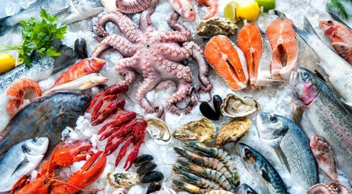 Identikit del pesce fresco: ecco 5 regole per riconoscerlo Identikit del pesce fresco: ecco 5 regole per riconoscerlo