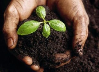 Fondi del caffè: 7 modi inaspettati per riciclarli fondi del caffè