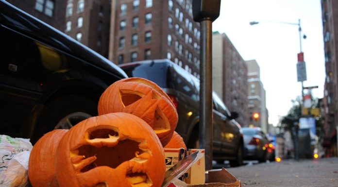 Halloween e la strage delle zucche! Impariamo a non sprecarle. Halloween e la "strage" delle zucche