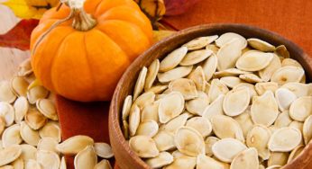 I 6 segreti della Zucca: conoscerla bene per sfruttare appieno le sue potenzialità