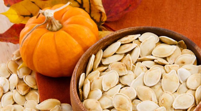 I 6 segreti della Zucca: conoscerla bene per sfruttare appieno le sue potenzialità zucca