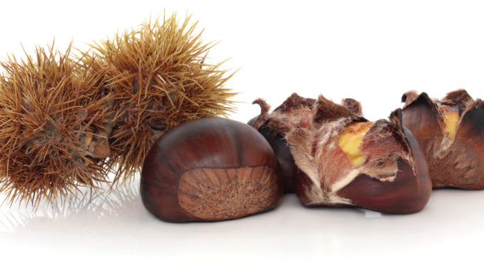 Bucce di castagne: un vero cosmetico naturale
